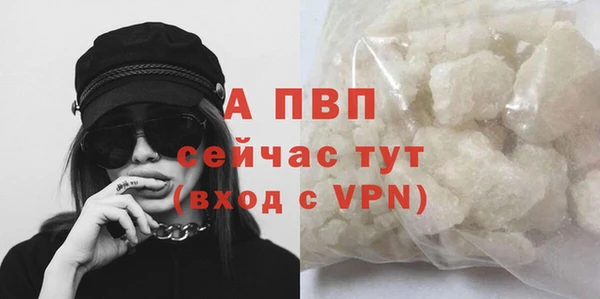 ECSTASY Медногорск